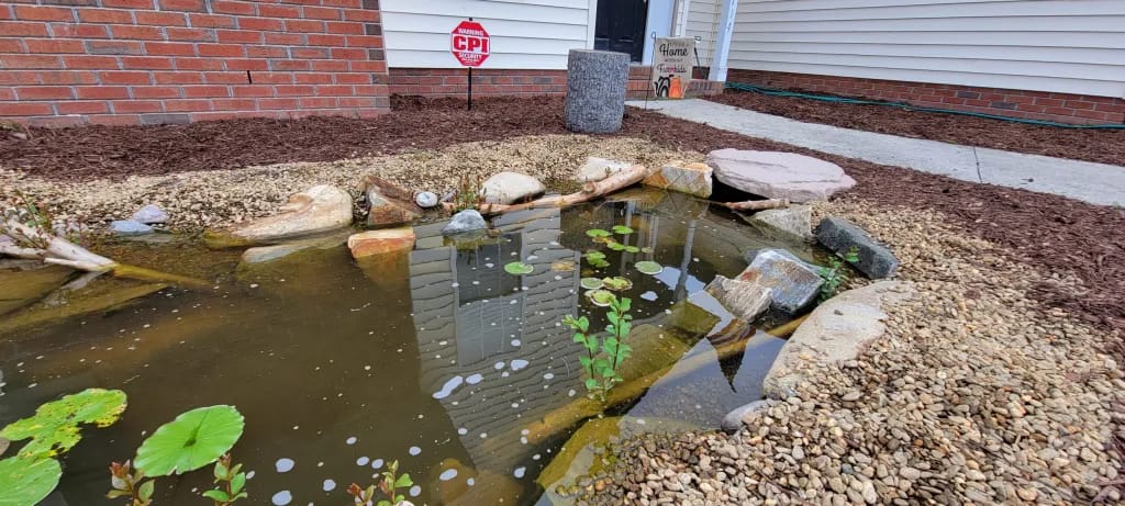 koi pond construction