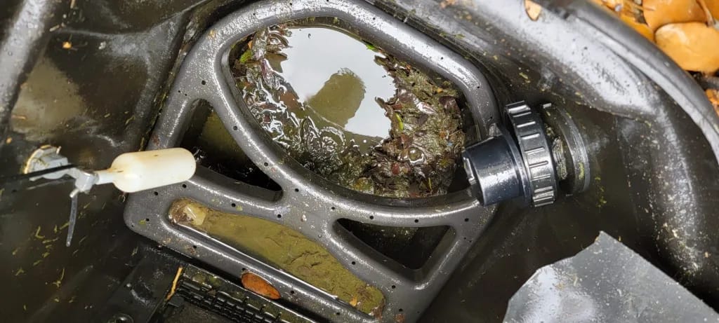 sludge debris removal from skimmer basket before winterizing a koi pond